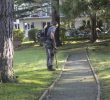 Entretien Parc Et Jardin Beau Au Fil Des Arbres Propose Aussi L Entretien Des Parcs Et Jardins