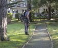 Entretien Parc Et Jardin Beau Au Fil Des Arbres Propose Aussi L Entretien Des Parcs Et Jardins