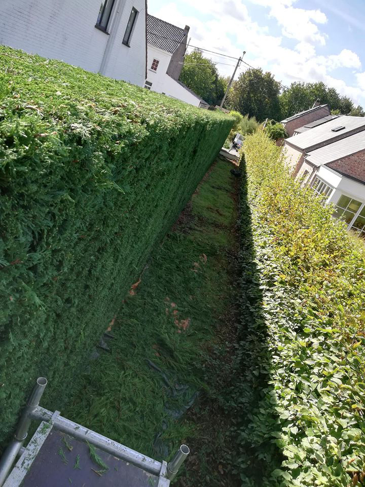 Entretien Parc Et Jardin Beau Lim Jardin Votre Spécialiste Du Jardin   Muno