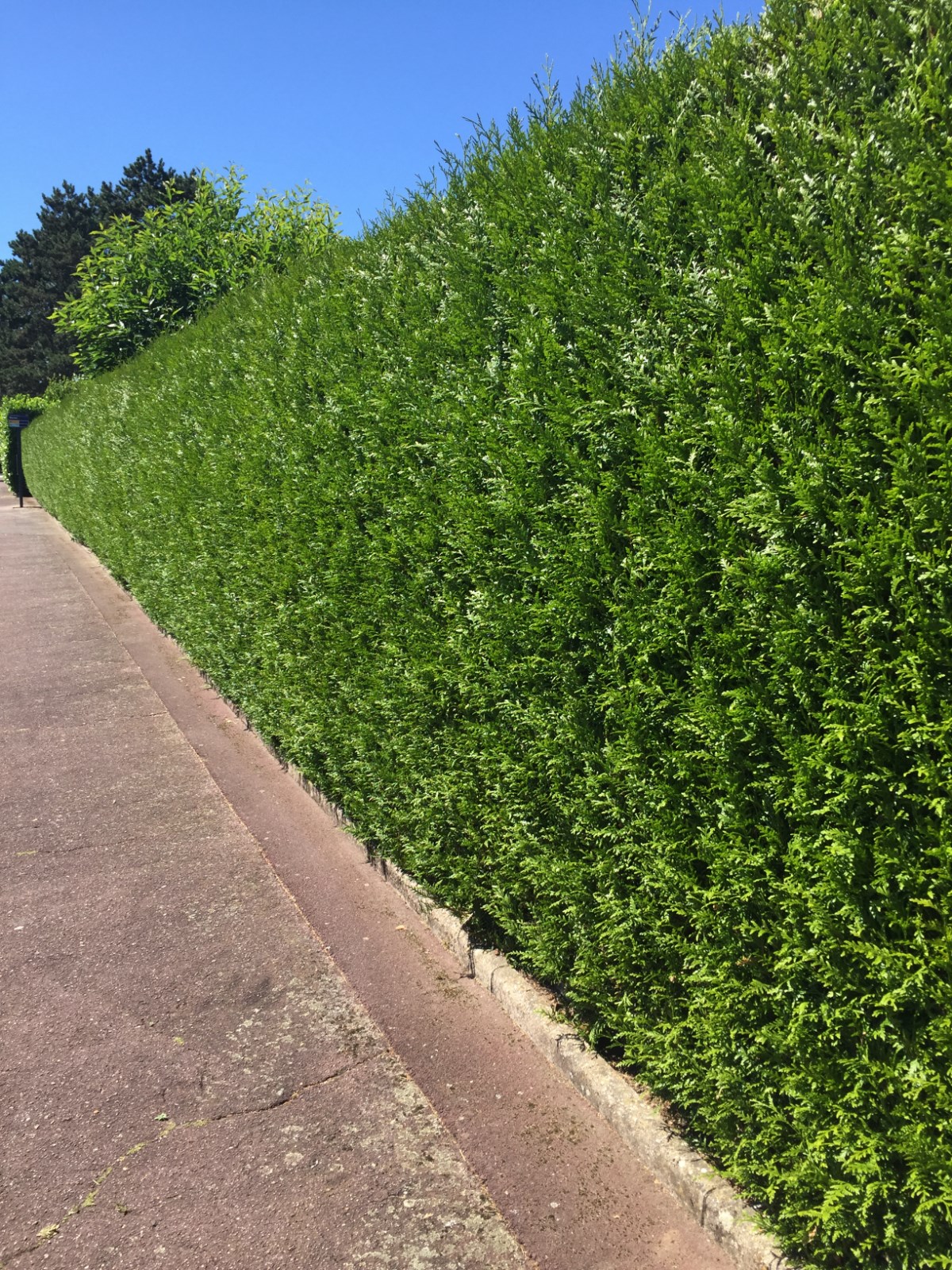 Entretien Parc Et Jardin Beau Services   La Personne Pour L Entretien De Votre Jardin Dans