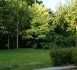 Entretien Parc Et Jardin Charmant Services   La Personne Pour L Entretien De Votre Jardin Dans