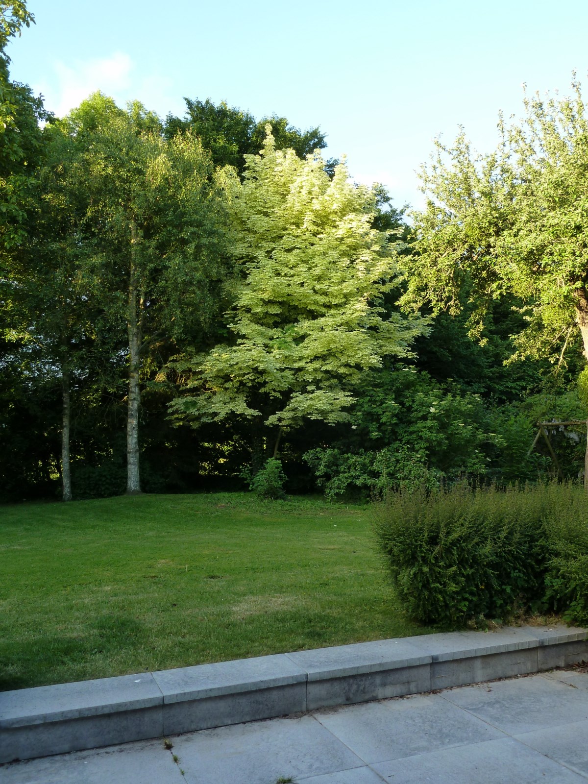 Entretien Parc Et Jardin Charmant Services   La Personne Pour L Entretien De Votre Jardin Dans