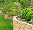 Entretien Parc Et Jardin Élégant Vert Et Jardin