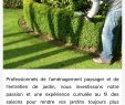 Entretien Parc Et Jardin Frais Pascal Luxey for android Apk Download