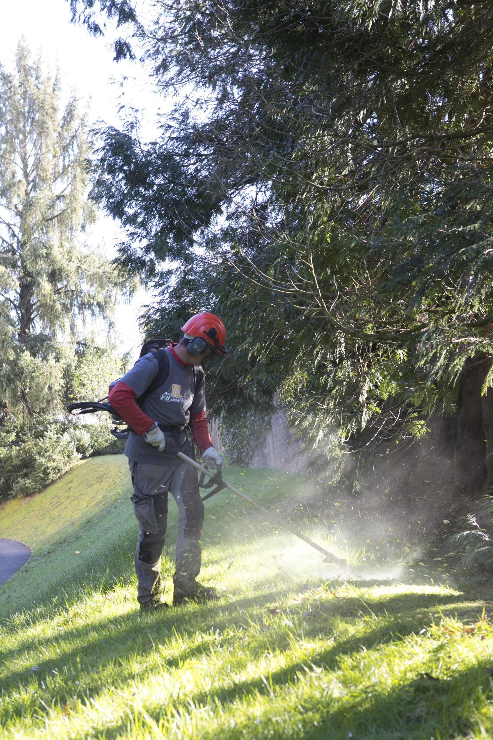 Entretien Parc Et Jardin Inspirant Au Fil Des Arbres Entretien Parcs Et Jardins 46 Au Fil