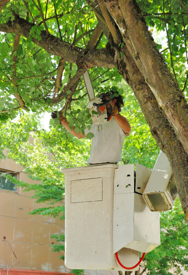 Entretien Parc Et Jardin Inspirant Nos Réalisations