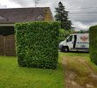 Entretien Parc Et Jardin Luxe Entretien De Parcs Et De Jardins   Périgueux