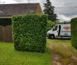 Entretien Parc Et Jardin Luxe Entretien De Parcs Et De Jardins   Périgueux