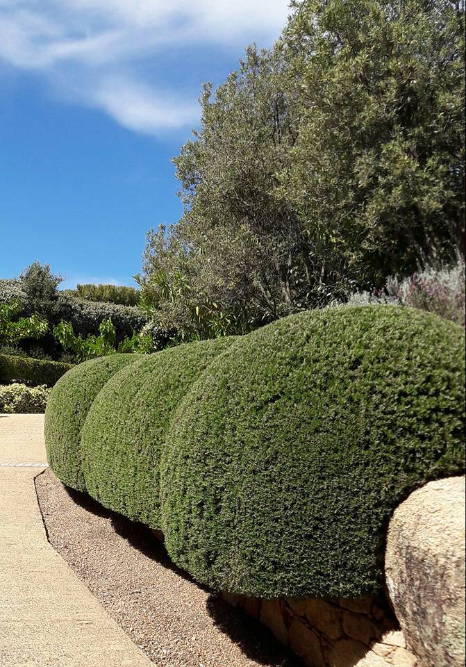 Entretien Parc Et Jardin Luxe Entretien Parcs Et Jardins Un Service Personnalisé   Porto