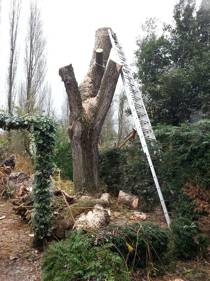 Entretien Parc Et Jardin Nouveau Entretien De Votre Parc Jardin Et Maison Vers Les Ponts De Cé