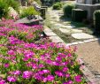 Faire Une Dalle Béton Pour Abri De Jardin Beau Allée De Jardin Nos Conseils Pour La Réaliser C´té Maison