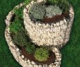 Faire Une Dalle Béton Pour Abri De Jardin Beau La Jardini¨re Gabion En Spirale Le Potager De Votre Jardin