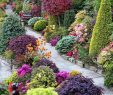 Faire Une Dalle Béton Pour Abri De Jardin Frais Allées De Jardin originales En 48 Idées Inspirantes