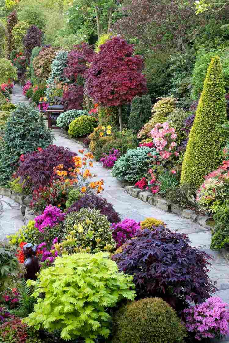 allées jardin béton plantes buis arbres fleurs colorées