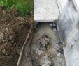 Faire Une Dalle Béton Pour Abri De Jardin Génial Terrasse Sur Dalle [résolu] 6 Messages