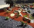 Faire Une Dalle Béton Pour Abri De Jardin Luxe Artisan Paysagiste Espace Vert
