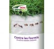 Fourmis Dans Le Jardin Beau Anti Fourmis Et Insectes Rampants Diaterrants 200gr