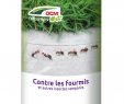 Fourmis Dans Le Jardin Beau Anti Fourmis Et Insectes Rampants Diaterrants 200gr