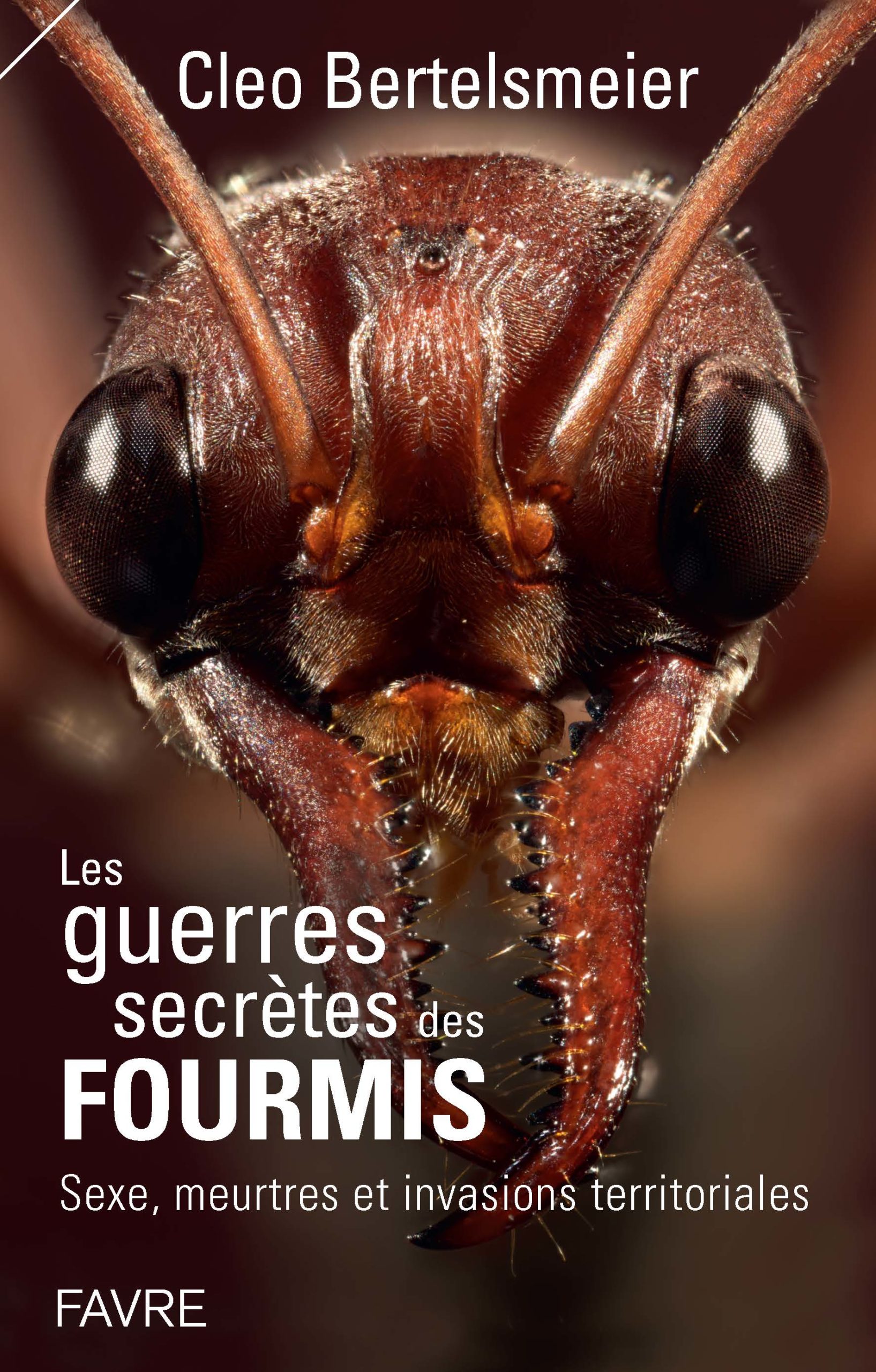 Fourmis Dans Le Jardin Beau Les Guerres Secr¨tes Des Fourmis éditions Favre