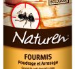 Fourmis Dans Le Jardin Beau Naturen Fourmis Poudrage Et Arrosage 250 G