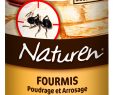 Fourmis Dans Le Jardin Beau Naturen Fourmis Poudrage Et Arrosage 250 G