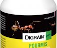 Fourmis Dans Le Jardin Best Of Digrain I1042 Fourmis formule Concentree Jaune 0 65 X 0 65