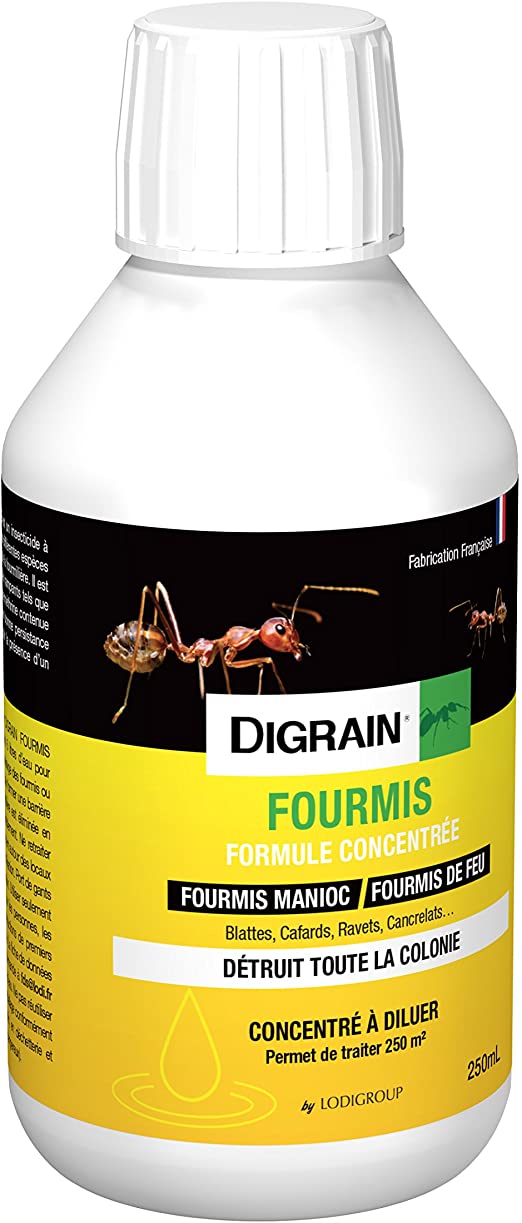 Fourmis Dans Le Jardin Best Of Digrain I1042 Fourmis formule Concentree Jaune 0 65 X 0 65