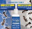 Fourmis Dans Le Jardin Best Of Fourmis Tube 1 X 30 G