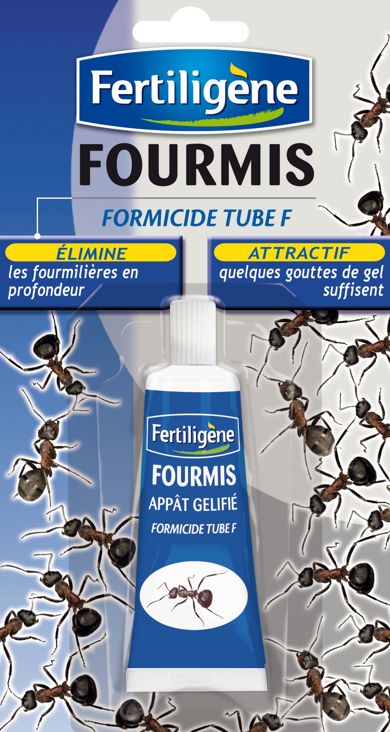 fourmis tube 1 x 30 g