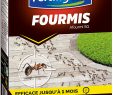 Fourmis Dans Le Jardin Élégant Fertilig¨ne Anti Fourmis Granulés 400 Gr