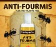 Fourmis Dans Le Jardin Élégant Naturen Anti Fourmis Tube Gel 30g