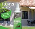 Fourmis Dans Le Jardin Frais Gel Appat Fourmi Tube 20g Espace Jardin