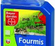 Fourmis Dans Le Jardin Génial Bayer Four400 Anti Fourmis Poudrage Et Arrosage Action Choc Bo Te 400g Incolore