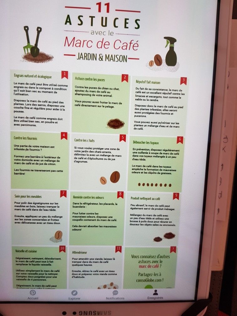 Fourmis Dans Le Jardin Luxe astuces Marc De Café