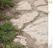 Fourmis Dans Le Jardin Luxe Chemin Des Fourmis Se Suivant De Leur Chemin Vers La Colonie