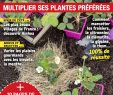 Fourmis Dans Le Jardin Nouveau Alain Delavie On Twitter "chaque Semaine Dans Le Magazine