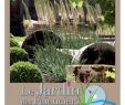 Jardin Bio Creutzwald Inspirant Metz 04 2011 by Spectacles Publications issuu