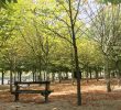 Jardin Du Louvre Beau A First Time Goers Guide to Paris