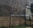 Jardin Du Louvre Beau Musée Du Louvre On Twitter "le Printemps Arrive Dans Le