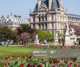 Jardin Du Louvre Best Of Jardin Du Luxembourg In Paris France High Res Stock