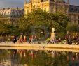 Jardin Du Louvre Charmant Search Millions Of Images Search