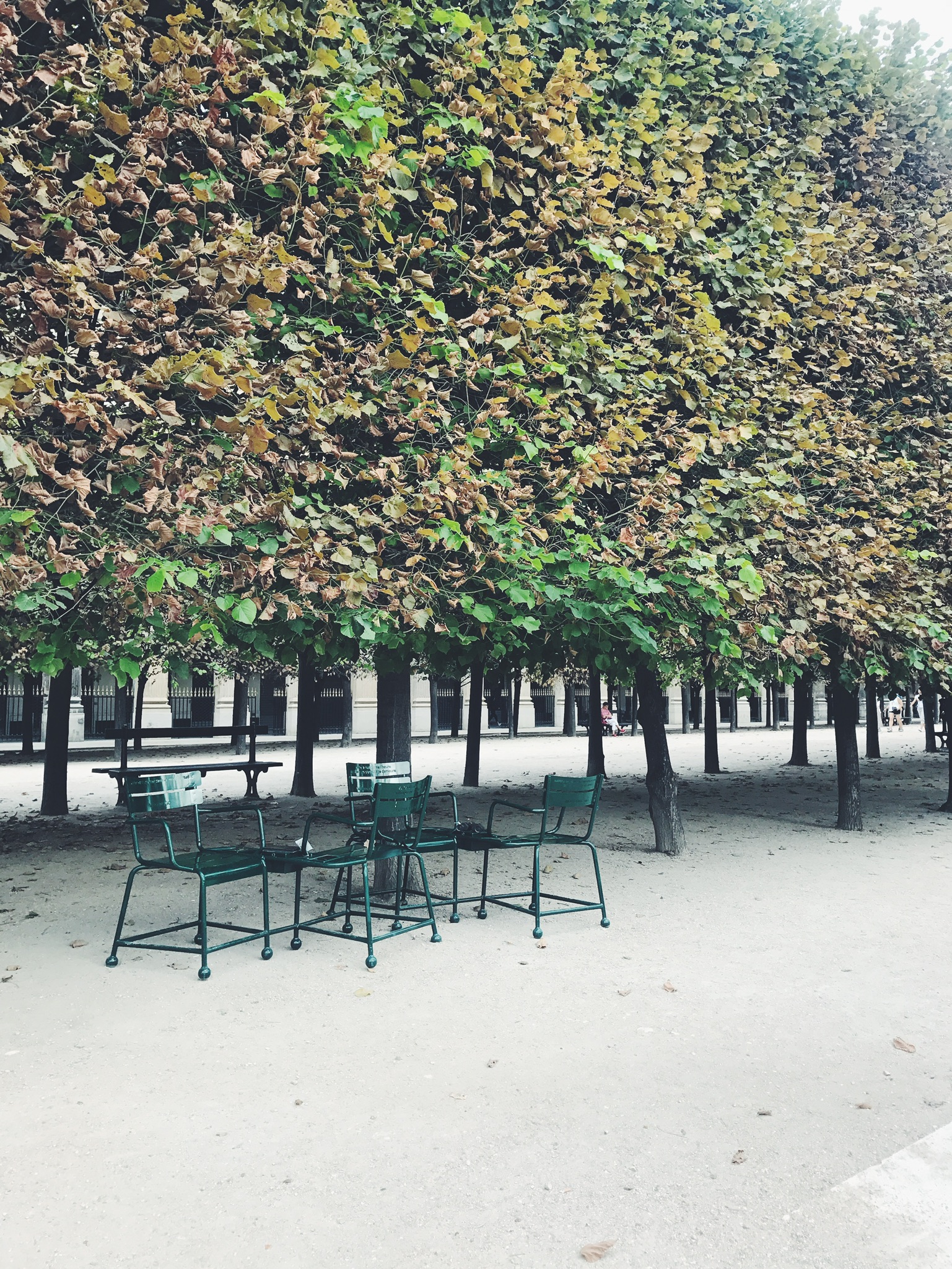 Jardin Du Louvre Charmant Travel Blog