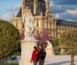 Jardin Du Louvre Élégant Jardin Du Tuileries and Musee Du Louvre Paris France Stock