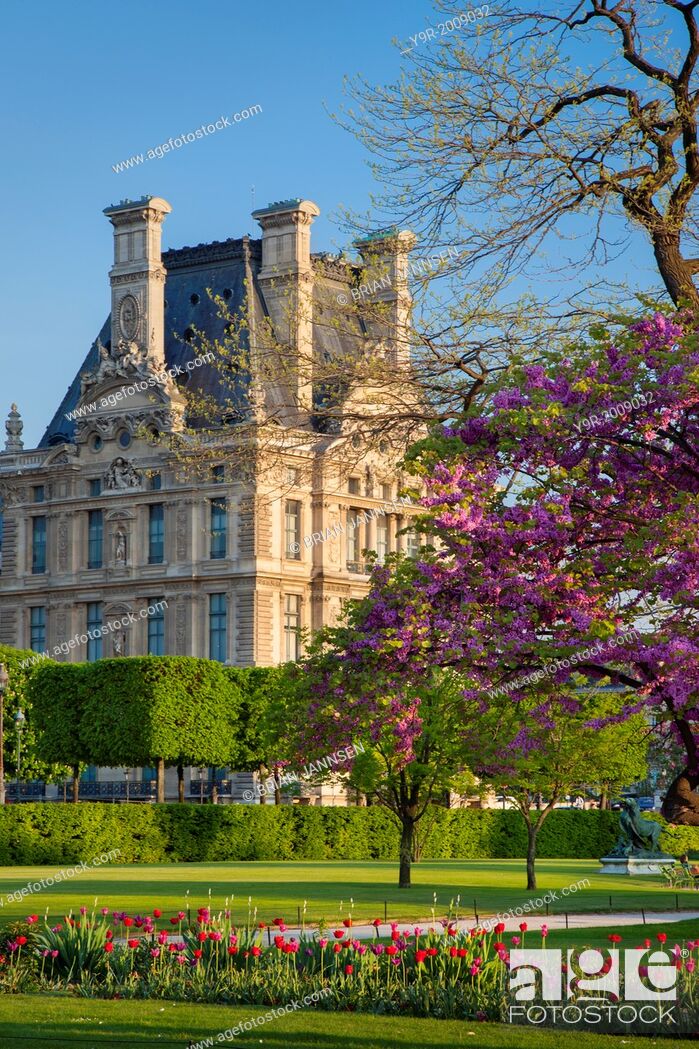 Jardin Du Louvre Élégant Springtime In Jardin Des Tuileries with Musee Du Louvre