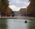 Jardin Du Louvre Frais A Walk by the Jardin Des Tuileries
