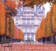 Jardin Du Louvre Frais ðparis is Moveable Feast ðbienvenue   Paris & L Automne  