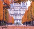 Jardin Du Louvre Frais ðparis is Moveable Feast ðbienvenue   Paris & L Automne  