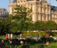 Jardin Du Louvre Frais Louvre Garden Stock S & Louvre Garden Stock Alamy