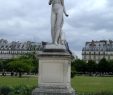 Jardin Du Louvre Frais Steytsayd Ilongga Musee Du Louvre