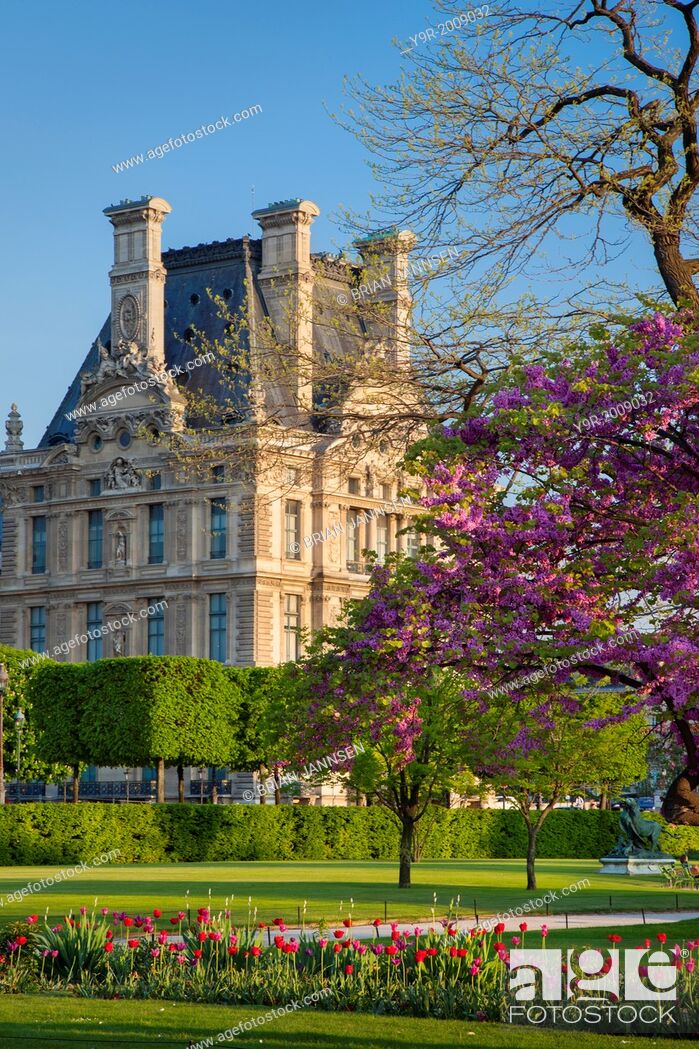 Jardin Du Louvre Génial Springtime In Jardin Des Tuileries with Musee Du Louvre